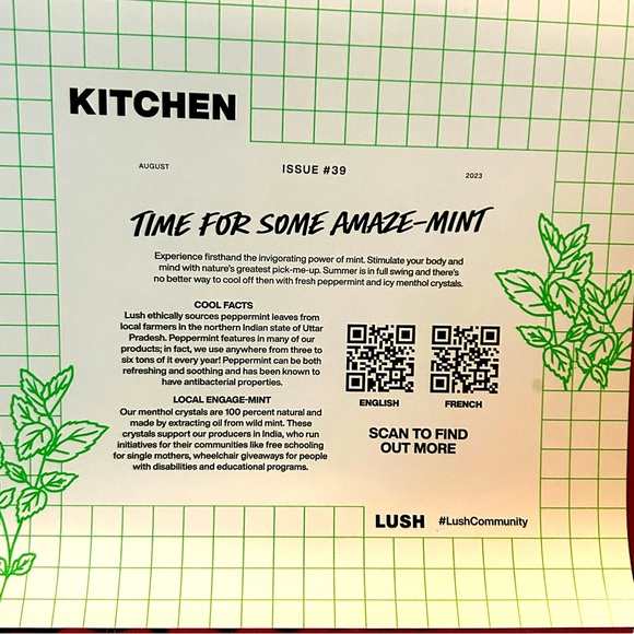 Lush Kitchen Exclusive Freeze Peppermint Sea Salt Shower Gel Body Wash NWT - Picture 11 of 12